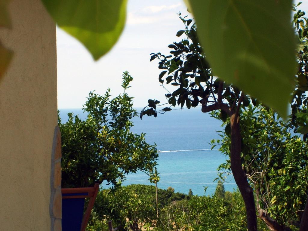 Villa Goddess Yard à Tropea Extérieur photo